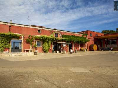Veniamo accolti da una masseria a un solo piano verniciata di rosso pompeiano e ornata da una vite rampicante
